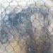 chicken wire glass