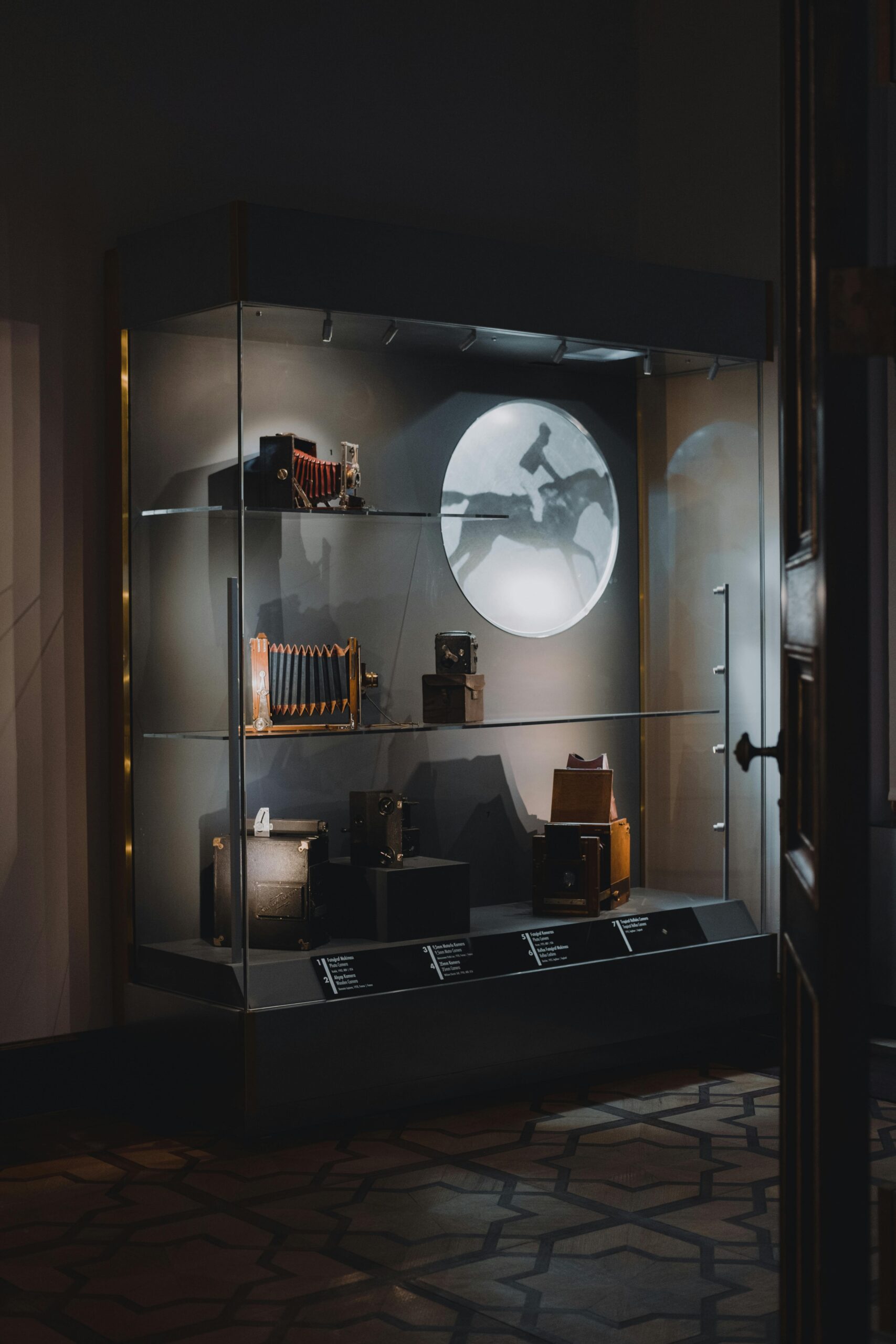 Museum Quality Show Cases by Bear Glass